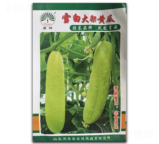 ѩ�״���S��-�S�ϷN��-�P�˷N�I(y��)