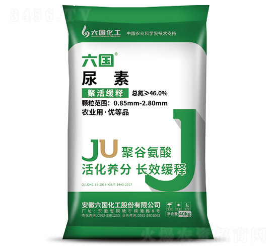 �۹Ȱ�������-��������