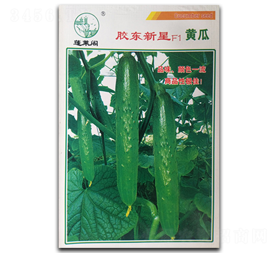 �z�|����F1-�S�ϷN��-�P�˷N�I(y��)