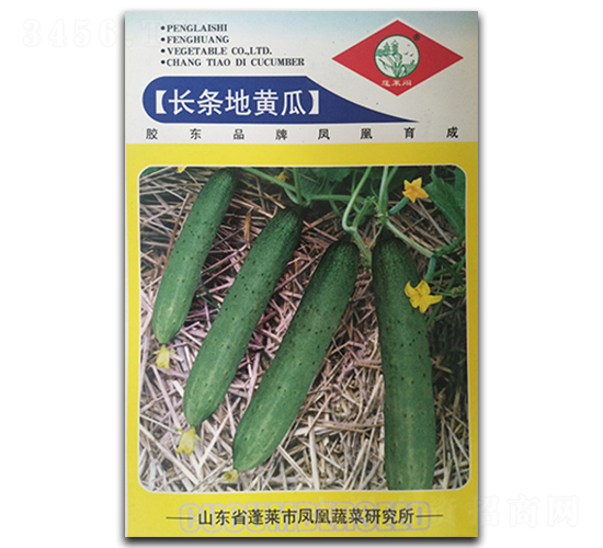 �L(zh��ng)�l���S��-�S�ϷN��-�P�˷N�I(y��)