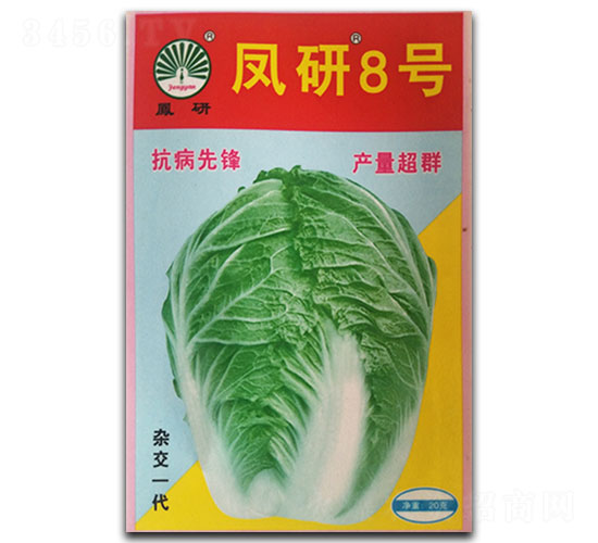 �P��8̖(h��o)-�ײ˷N��-�P�˷N�I(y��)