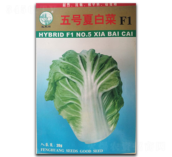 ��̖�İײ�-�ײ˷N��-�P�˷N�I(y��)