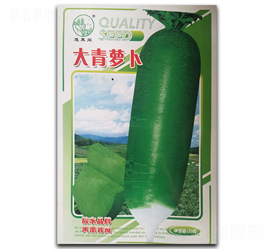 �����}��-�}���N��-�P�˷N�I(y��)