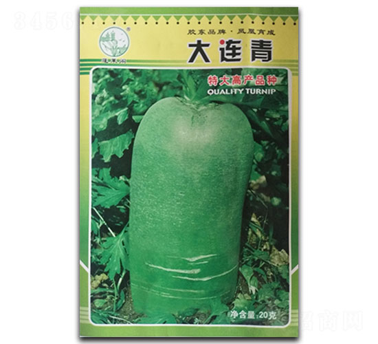 ���B��-�}���N��-�P�˷N�I(y��)