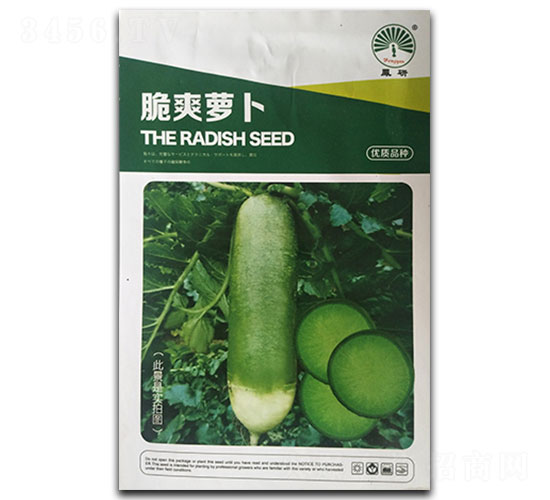 ��ˬ�}��-�}���N��-�P�˷N�I(y��)