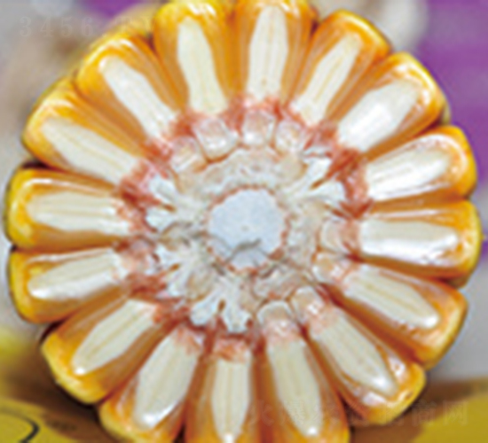 �|315-���׷N��-�����N�I(y��)