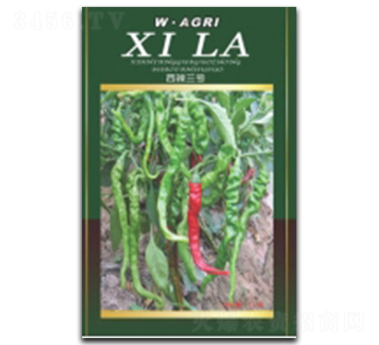 ����3̖-�����N��-�ؼt�N�I(y��)