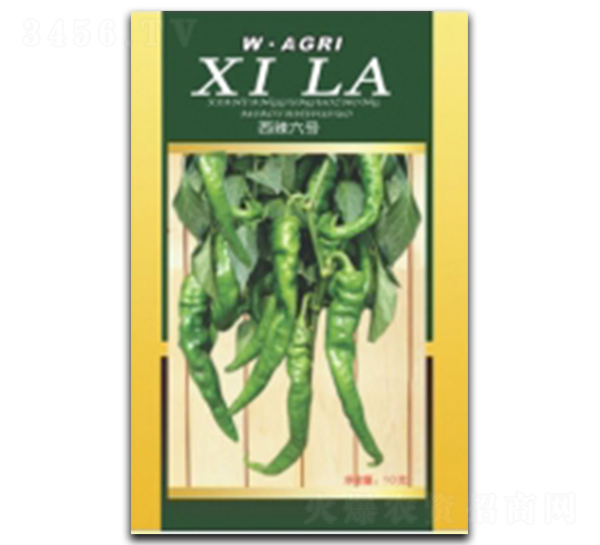 ����6̖-�����N��-�ؼt�N�I(y��)