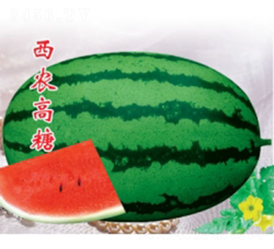 ���r(n��ng)����-���ϷN��-�ؼt�N�I(y��)