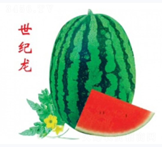 ���o(j��)��-���ϷN��-�ؼt�N�I(y��)