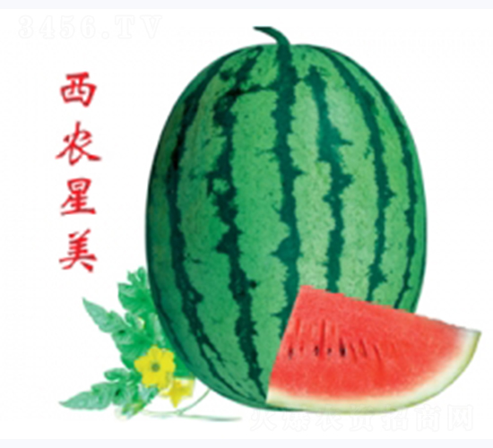 ���r����-���ϷN��-�ؼt�N�I(y��)