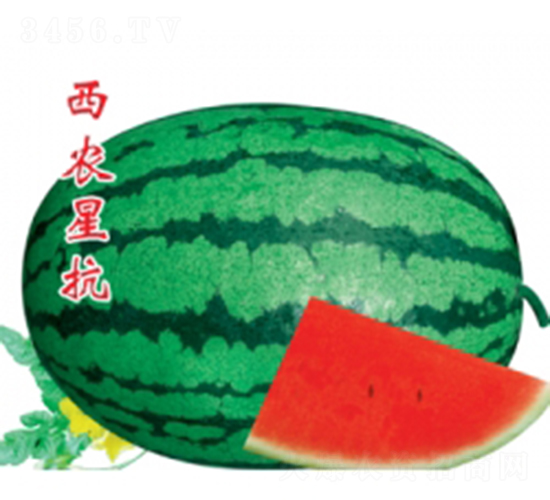 ���r(n��ng)�ǿ�-���ϷN��-�ؼt�N�I(y��)