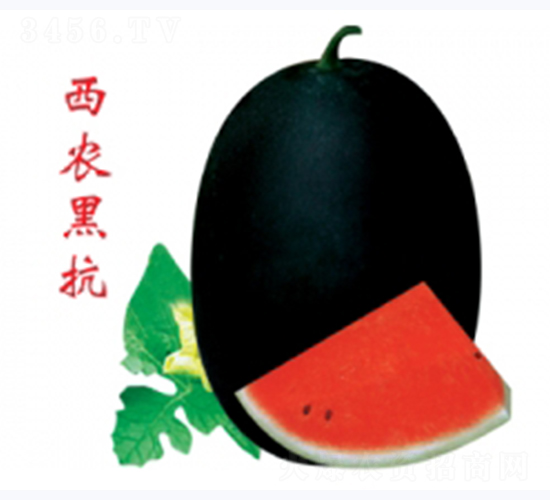 ���r(n��ng)�ڿ�-���ϷN��-�ؼt�N�I(y��)