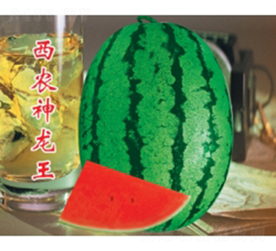 ���r(n��ng)������-���ϷN��-�ؼt�N�I(y��)