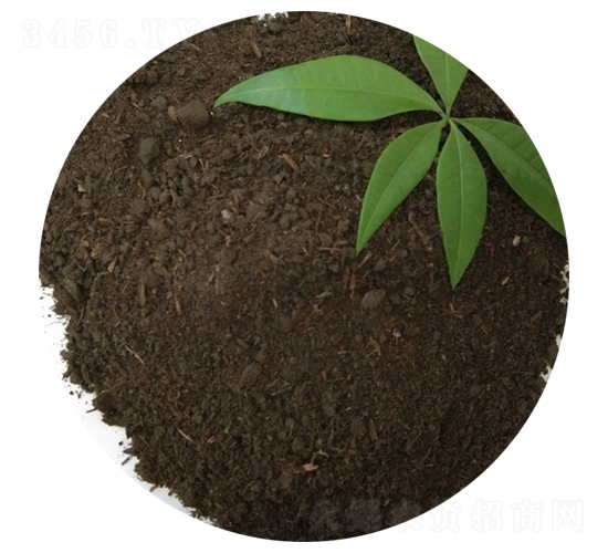 ţ�S��-�T������