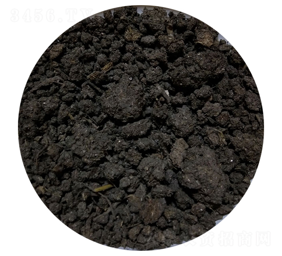 ���ţ�S-�T������