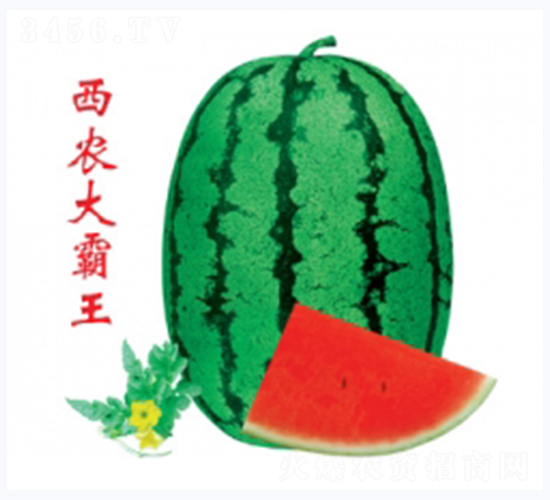 ���r(n��ng)�����-���ϷN��-�ؼt�N�I(y��)