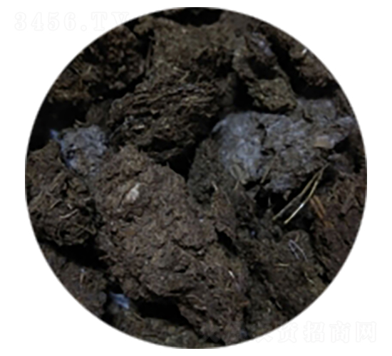 ��ţ�S��-�T������