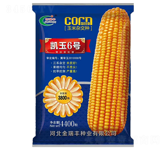 �P��6̖-���׷N��-�����S�N�I(y��)