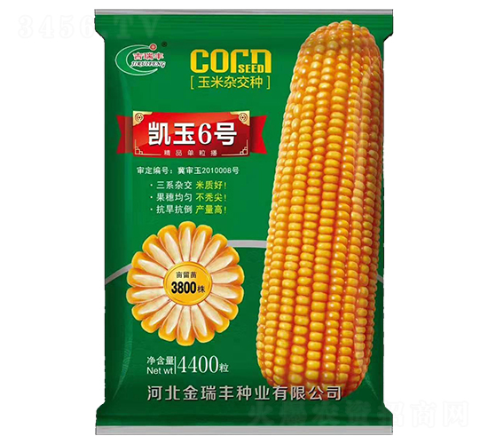 �P��6̖(h��o)���G��-���׷N��-�����S�N�I(y��)