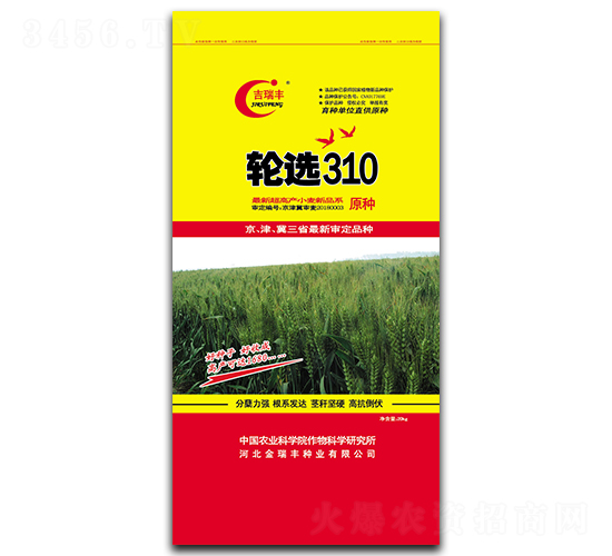 ݆�x310-С���N��-�����S�N�I(y��)