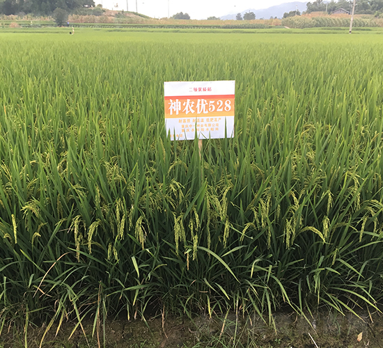 ���r(n��ng)5��(y��u)28-�߳����ʃ�(y��u)�|(zh��)��-��һ�N�I(y��)