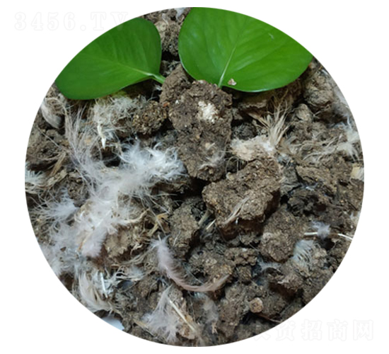 ����u�S-�����