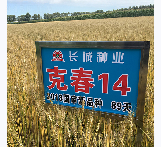 �˴�14-С���N��-�L(zh��ng)�ǷN�I(y��)