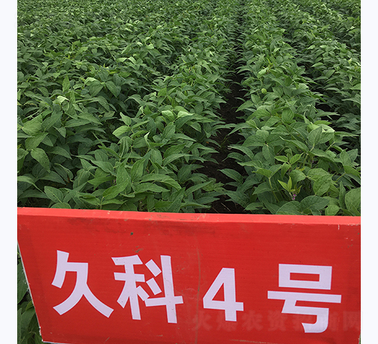 �ÿ�4̖-�󶹷N��-�L�ǷN�I(y��)