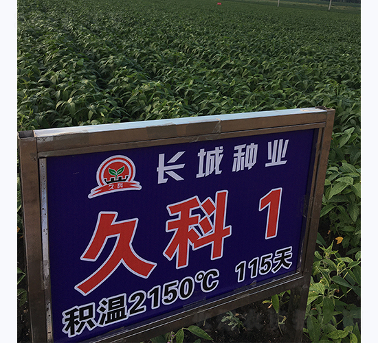 �ÿ�1̖(h��o)-�󶹷N��-�L(zh��ng)�ǷN�I(y��)