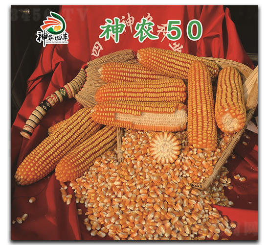 ���r(n��ng)50-���׷N��-���r(n��ng)�N�I(y��)