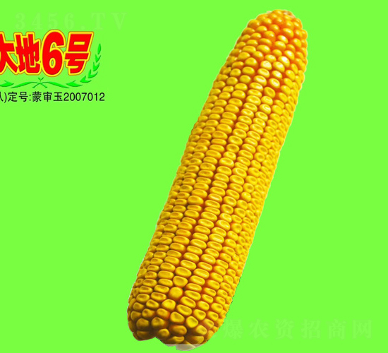 ���6̖-���׷N��-��طN�I(y��)