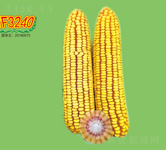 YF3240-���׷N��-��طN�I(y��)