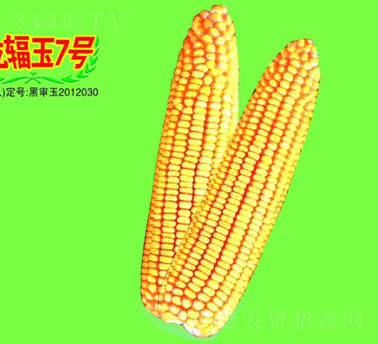 ��ݗ��7̖-���׷N��-��طN�I(y��)