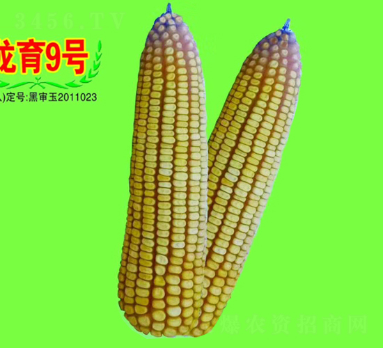 ����9̖(h��o)-���׷N��-��طN�I(y��)