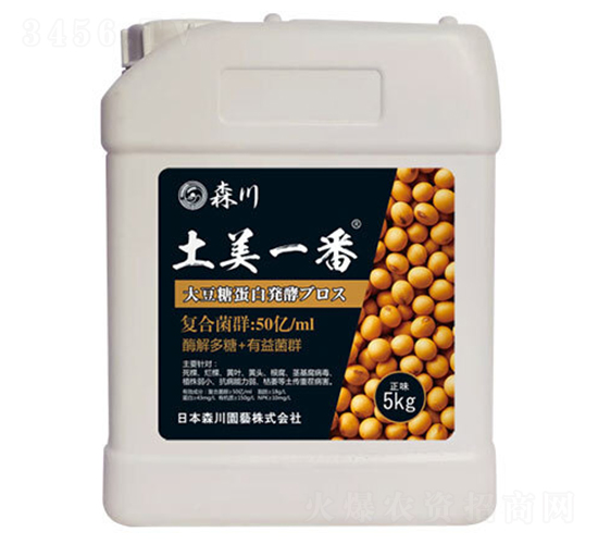 ����һ�������;���-ɭ��-����