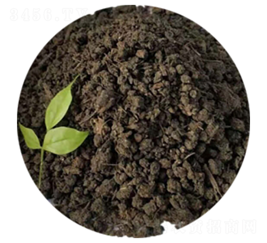 �w����S-ʥ������