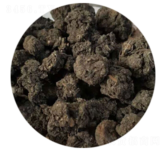 ���w���u�S-ʥ������