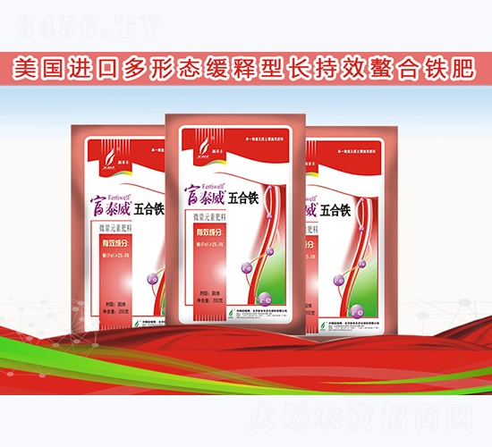 ����F-��̩��-�º��S