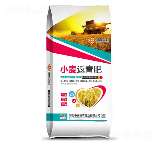 С�������-�긣��ʢ