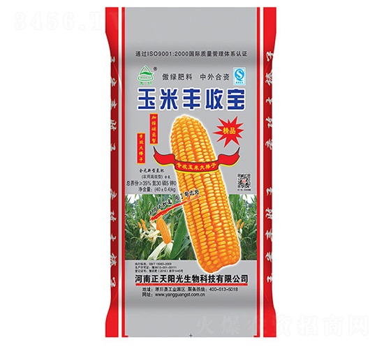 �����S�Ռ�-����ꖹ�