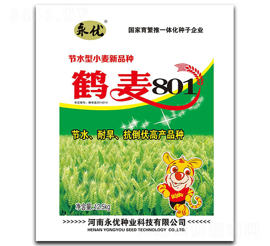 �Q��801С���N��-����(y��u)�N�I(y��)