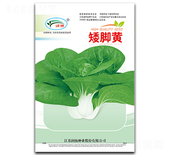 ���_�S-��˷N��-���P�N�I(y��)