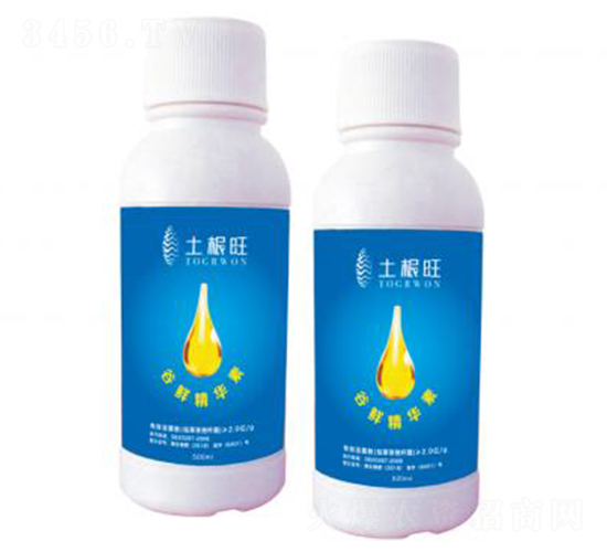 ���r���AҺ-������