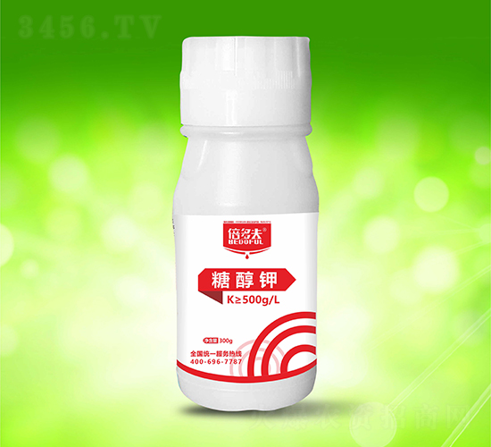 �Ǵ��-�����