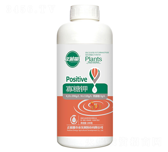 1300g�����-������