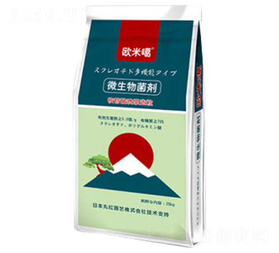 ΢�������-�W�׸�-�Ƃ��d��