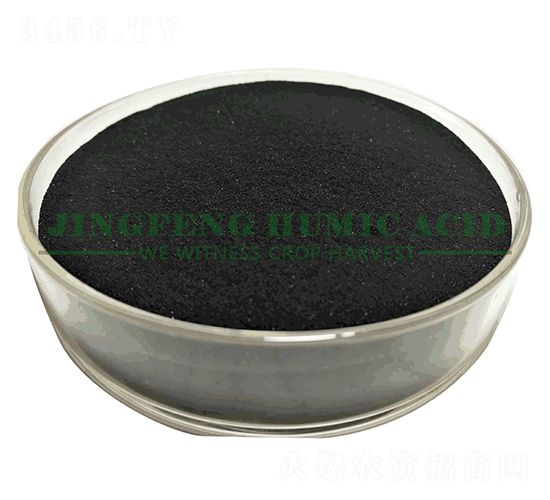 ��Ʒ��ֲ��⛷�-���S��ֲ��