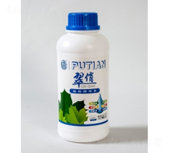 ����-����Ƽ�