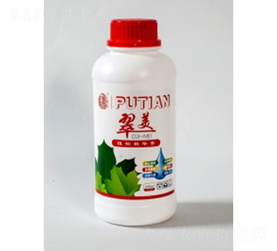 ����-����Ƽ�